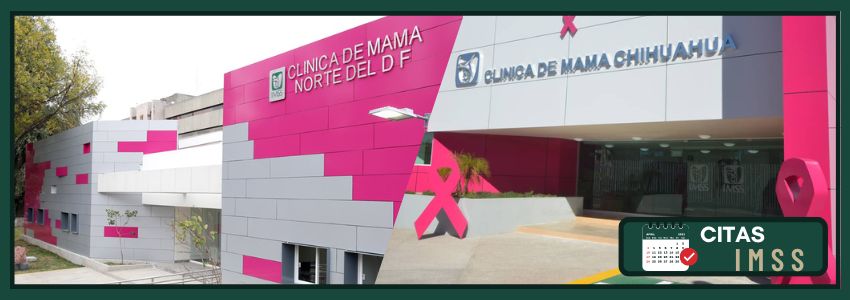 【clínica 10 Imss Veracruz】 Ubicación Nros Telefónicos ️ Actualizado 2024 0337